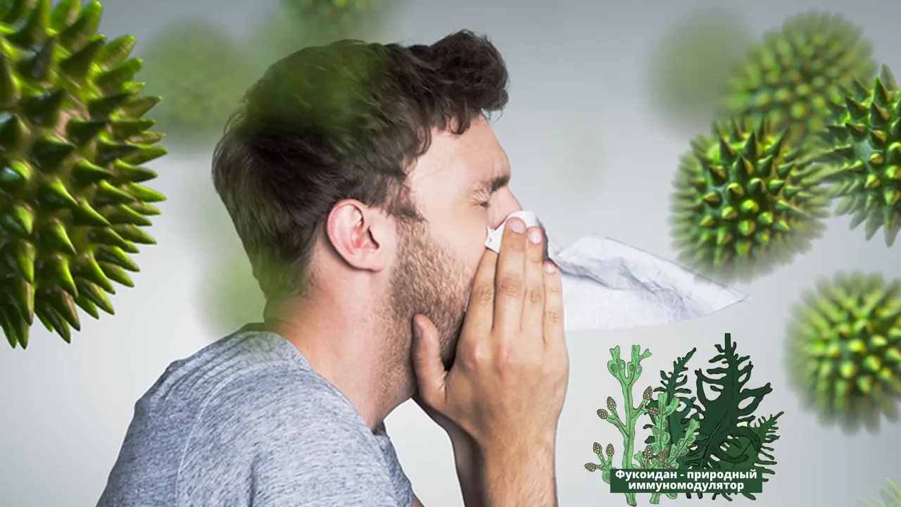 Koje su prednosti fukoidana tokom sezone gripa i prehlade? DOKTOR MORE - PharmOcean doo