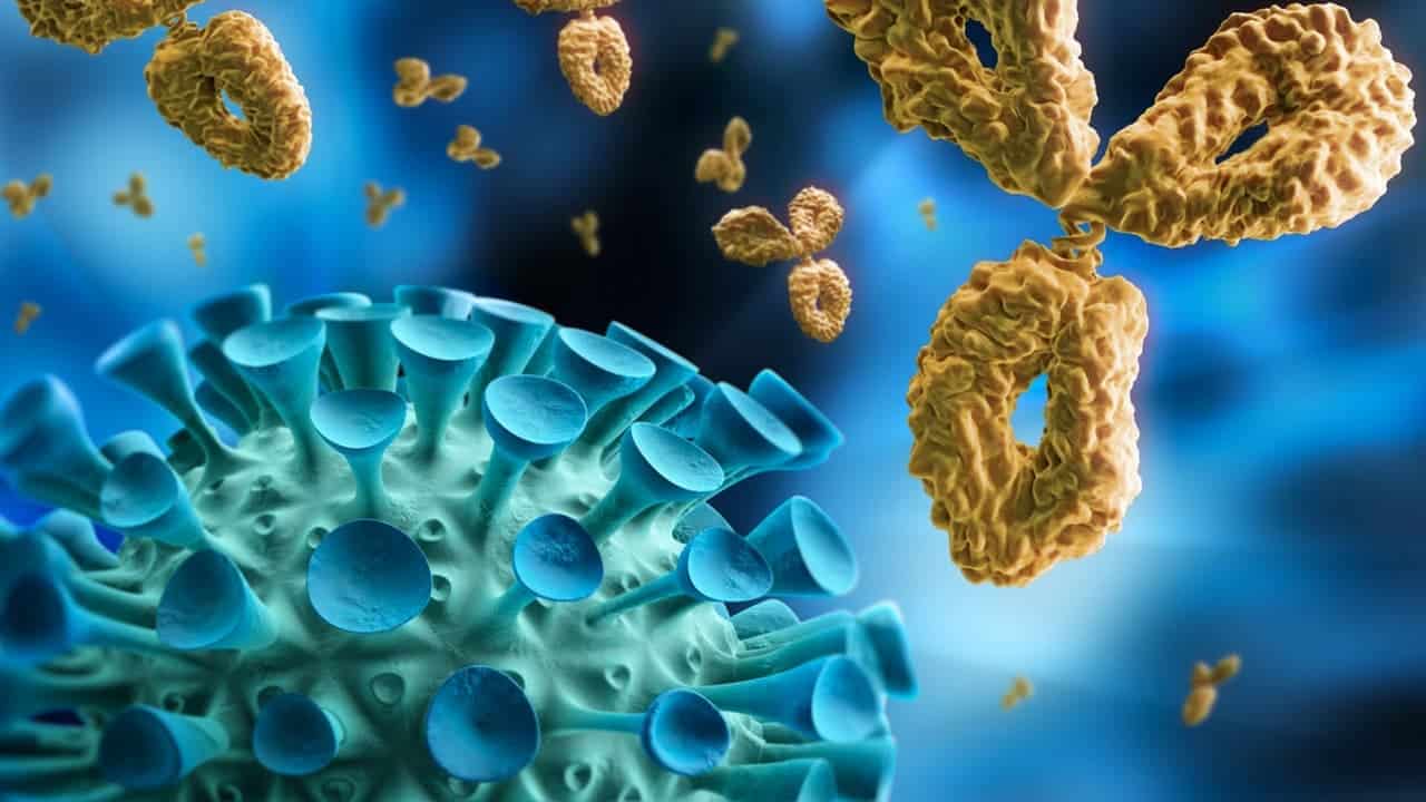Zaštita od virusa i patogenih bakterija Fukoidan - DOKTOR MORE - PharmOcean doo